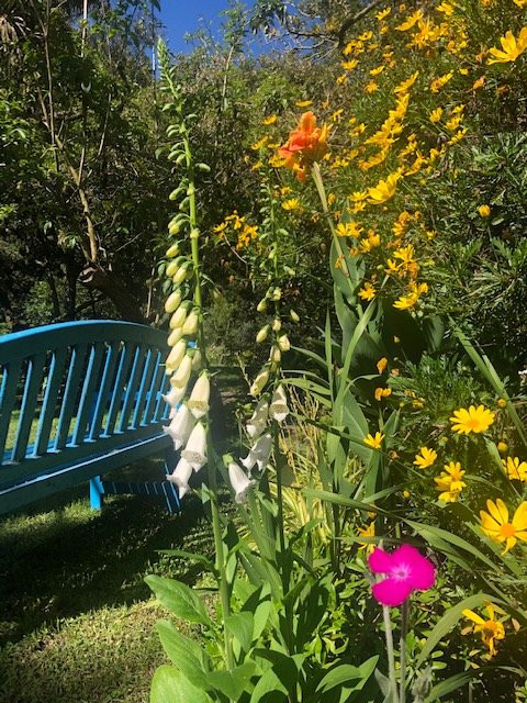 Hacienda Cusin主图