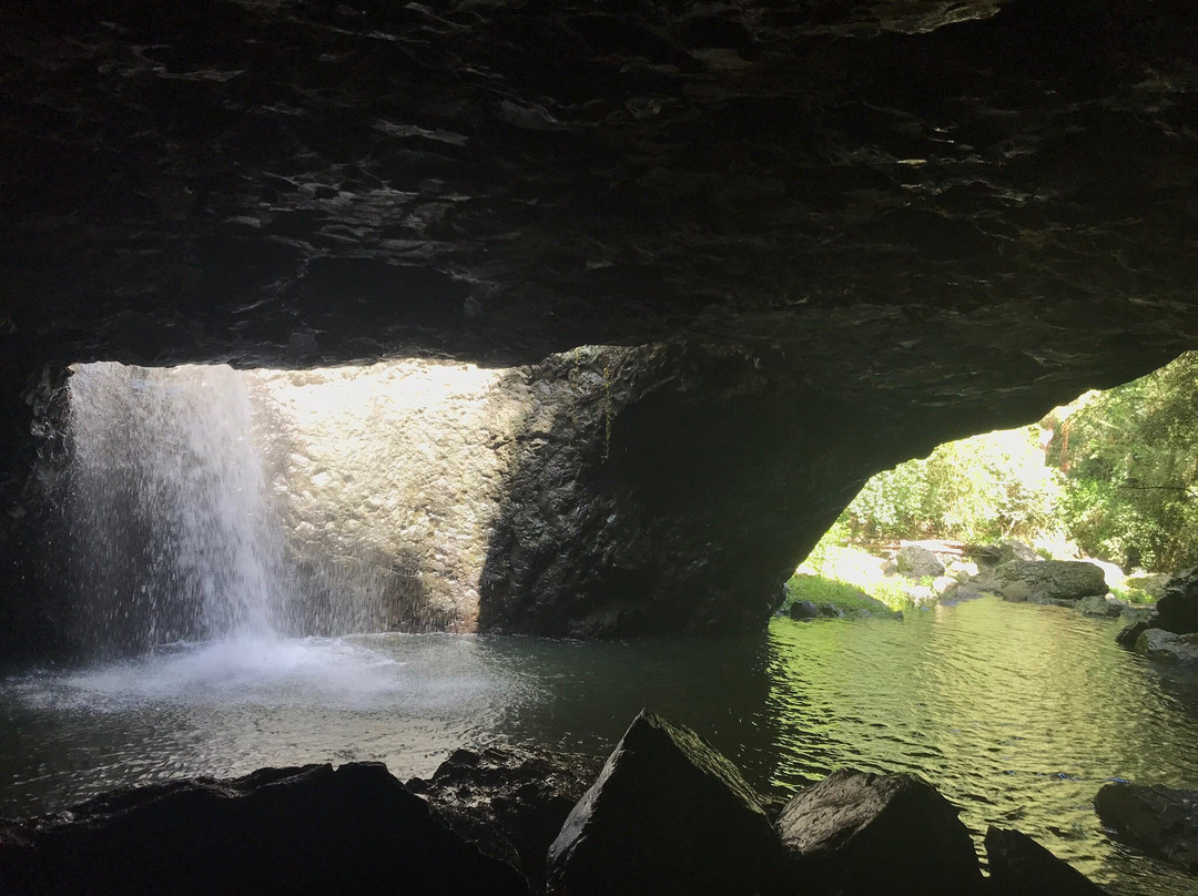 Rainforest Tours Australia-黄金海岸必去景点