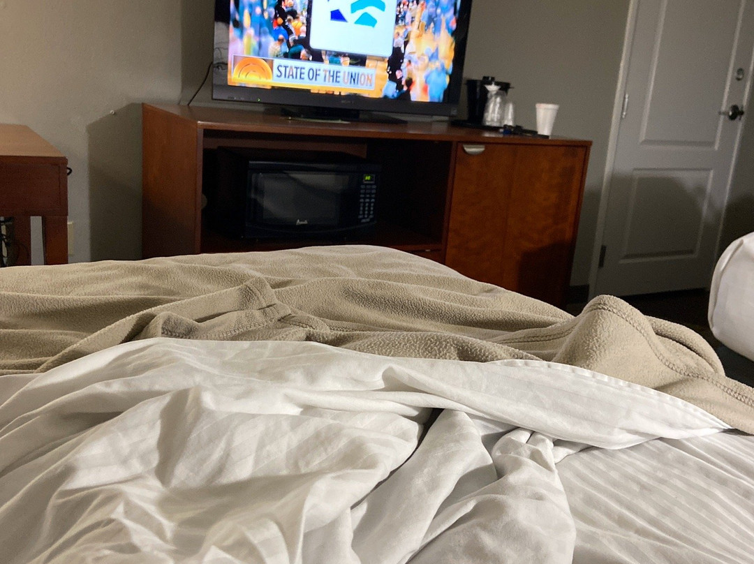 La Quinta Inn & Suites by Wyndham Cleveland TX主图