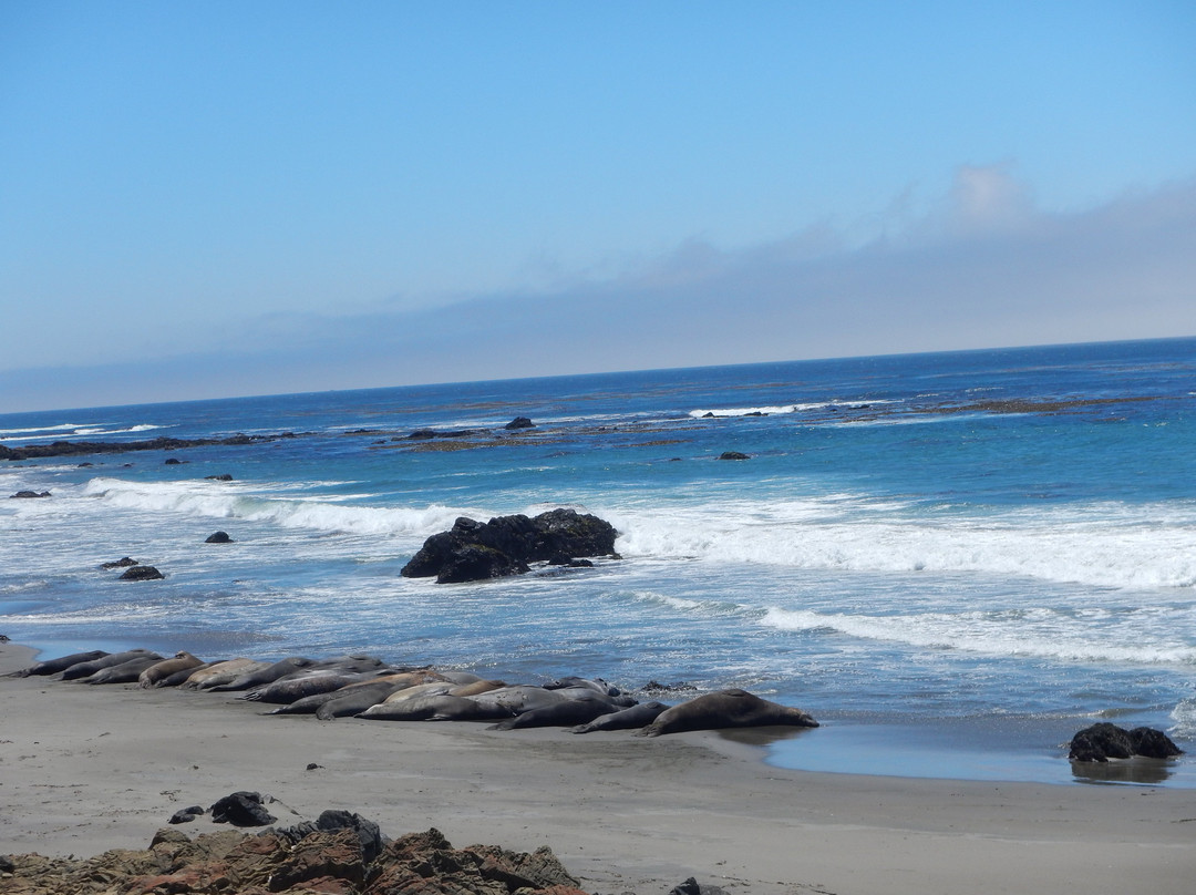 Seal Beach Scenic Overlook-大苏尔必去景点