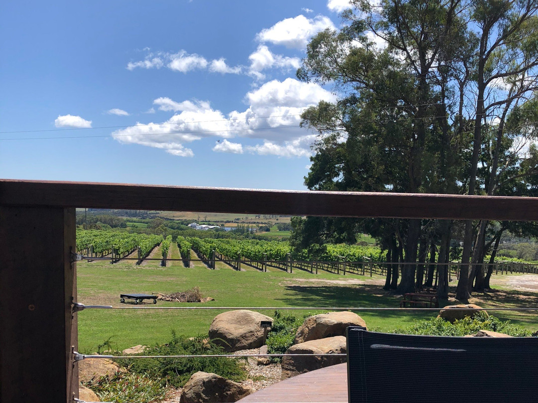 Small Wonder Wines-Kayena必去景点