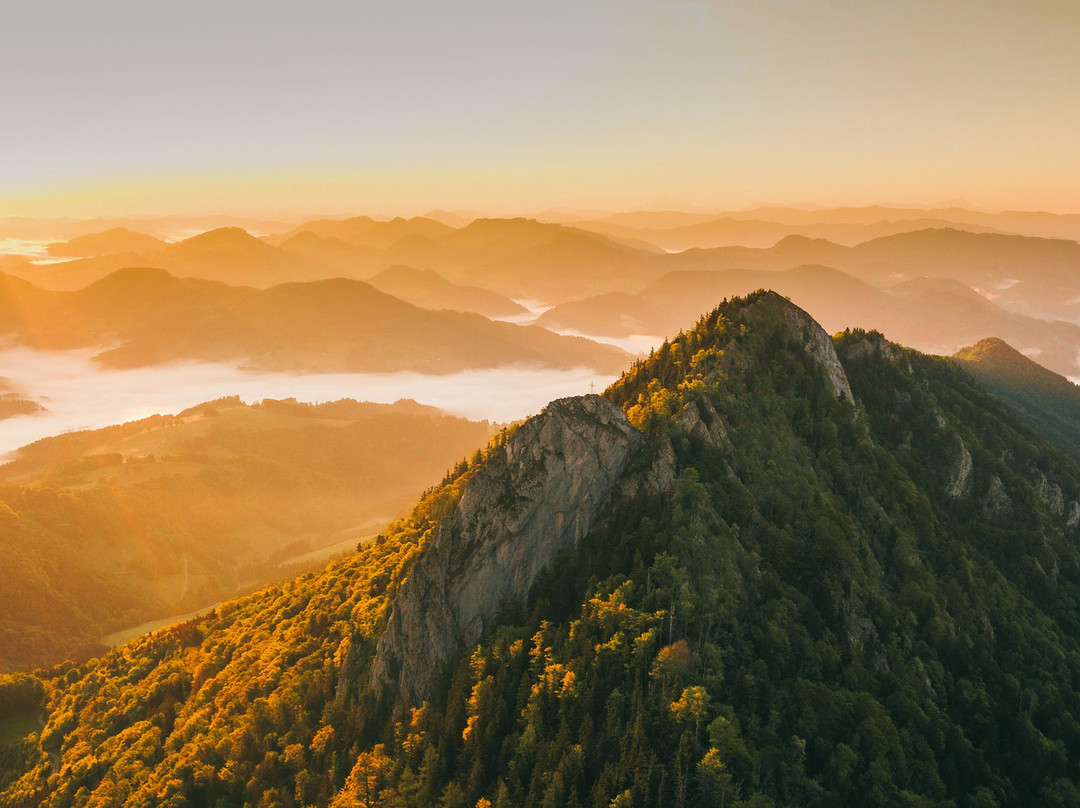 Losenstein餐馆和美食-RAU nature based cuisine