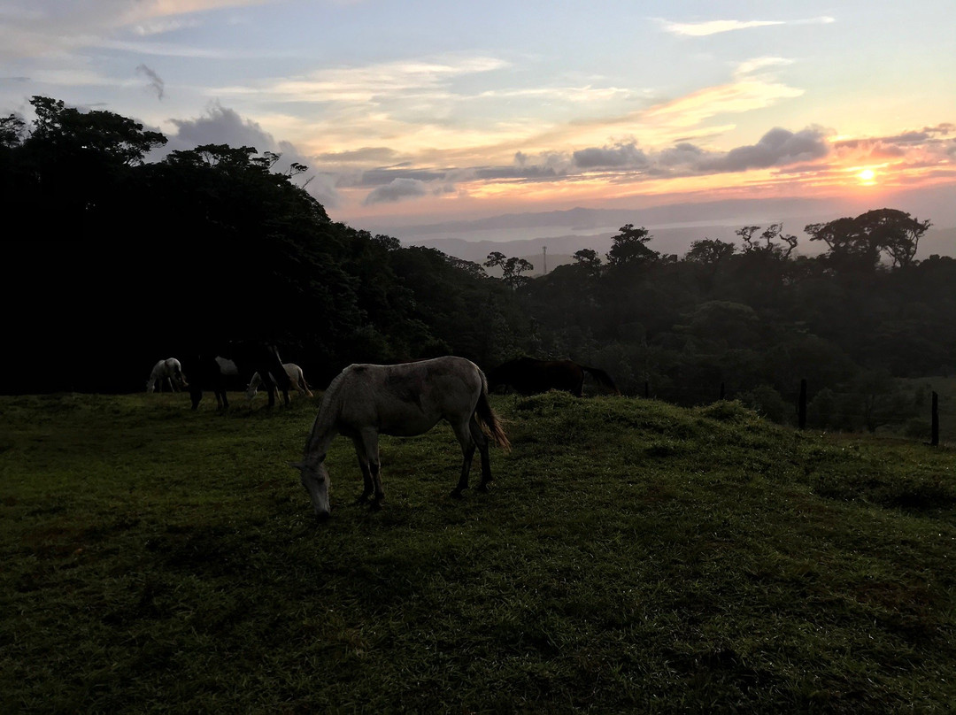 Martin Tours-蒙特沃德必去景点