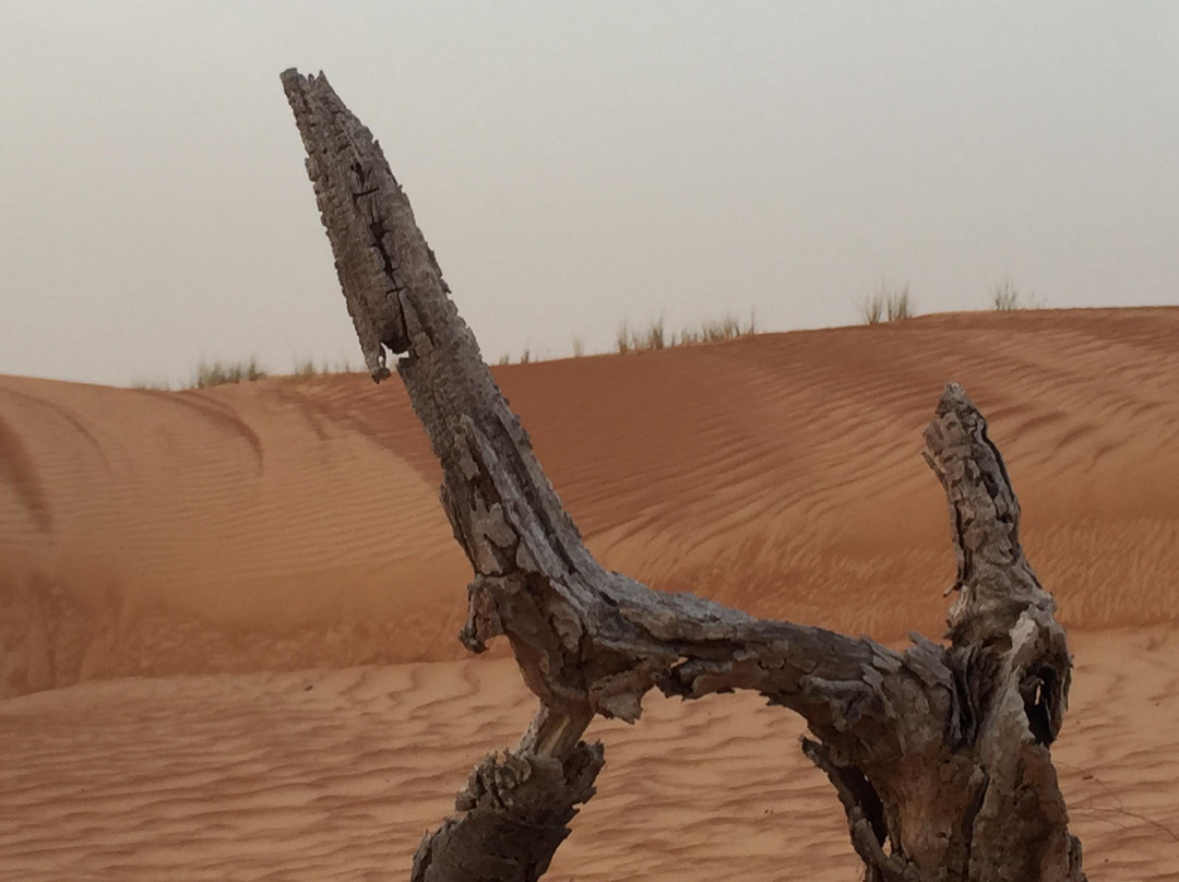 Oriental Nights Rest House (Tour Operator )-Al Sharqiyah必去景点