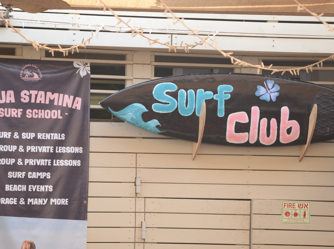 Go Surf TLV-特拉维夫必去景点