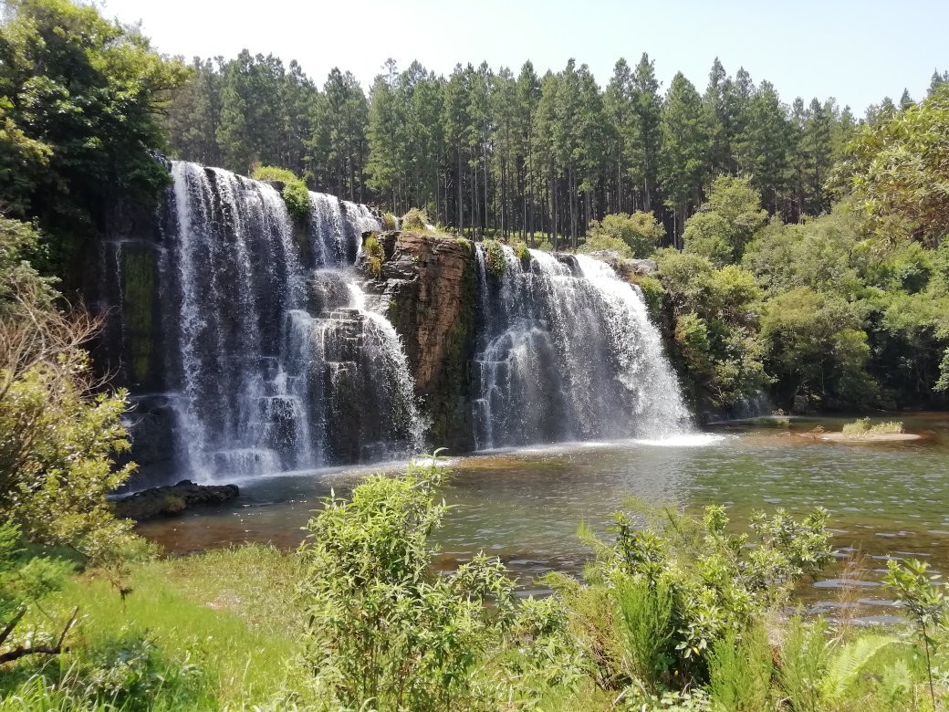 Forest Falls Nature Walk-沙比必去景点