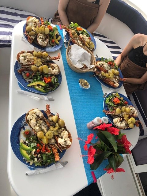 Catch The Cat - Private Sailing Charters-Jolly Harbour必去景点