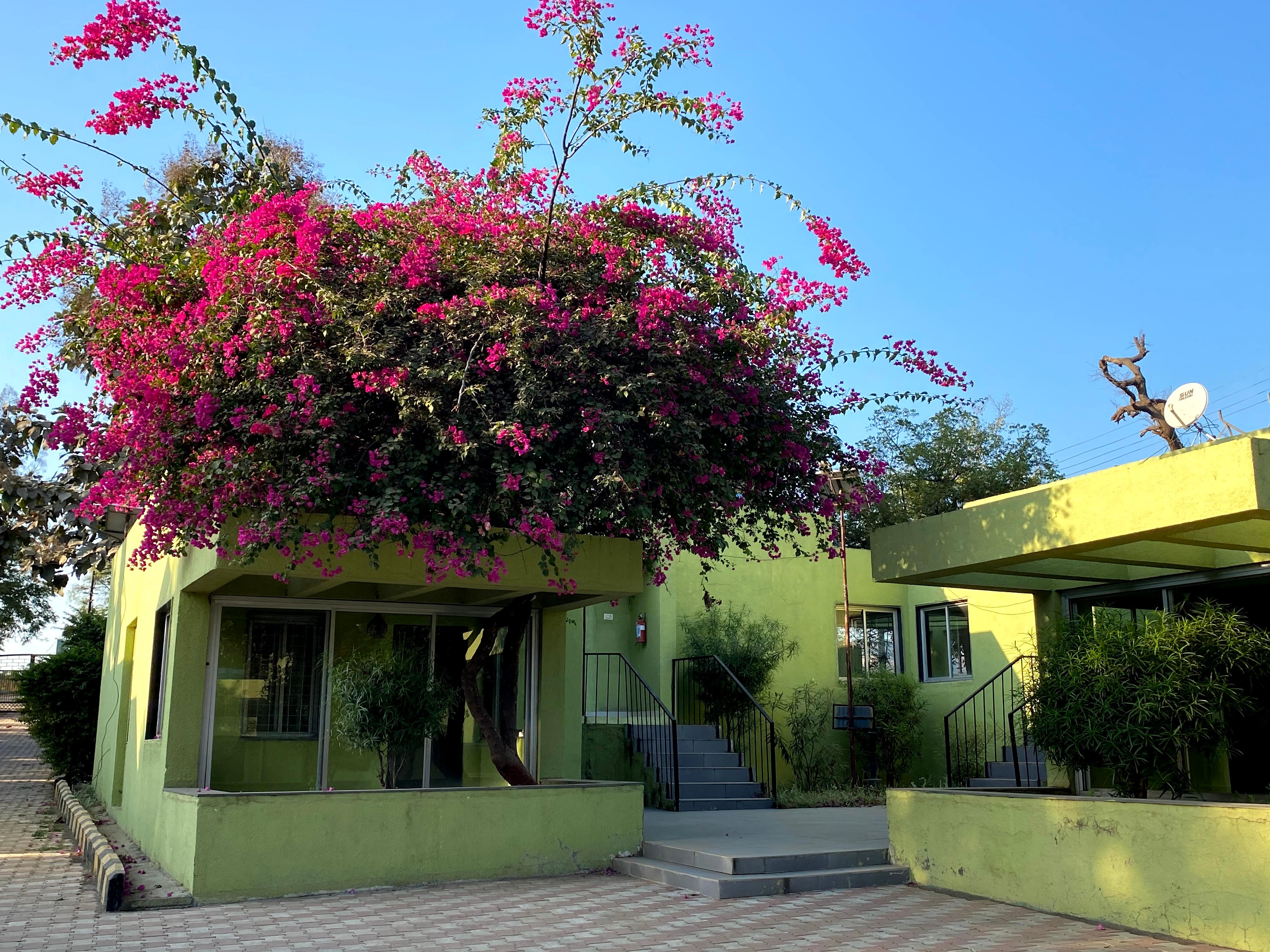 Ajanta Tourist Resort-官方
