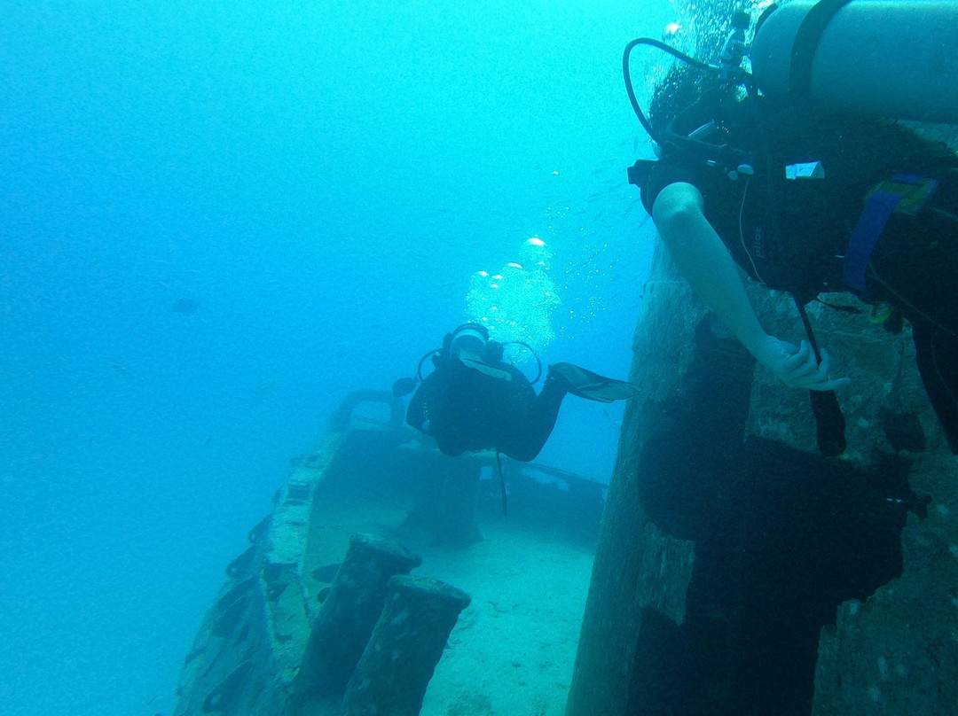 Bimini Undersea景点图片