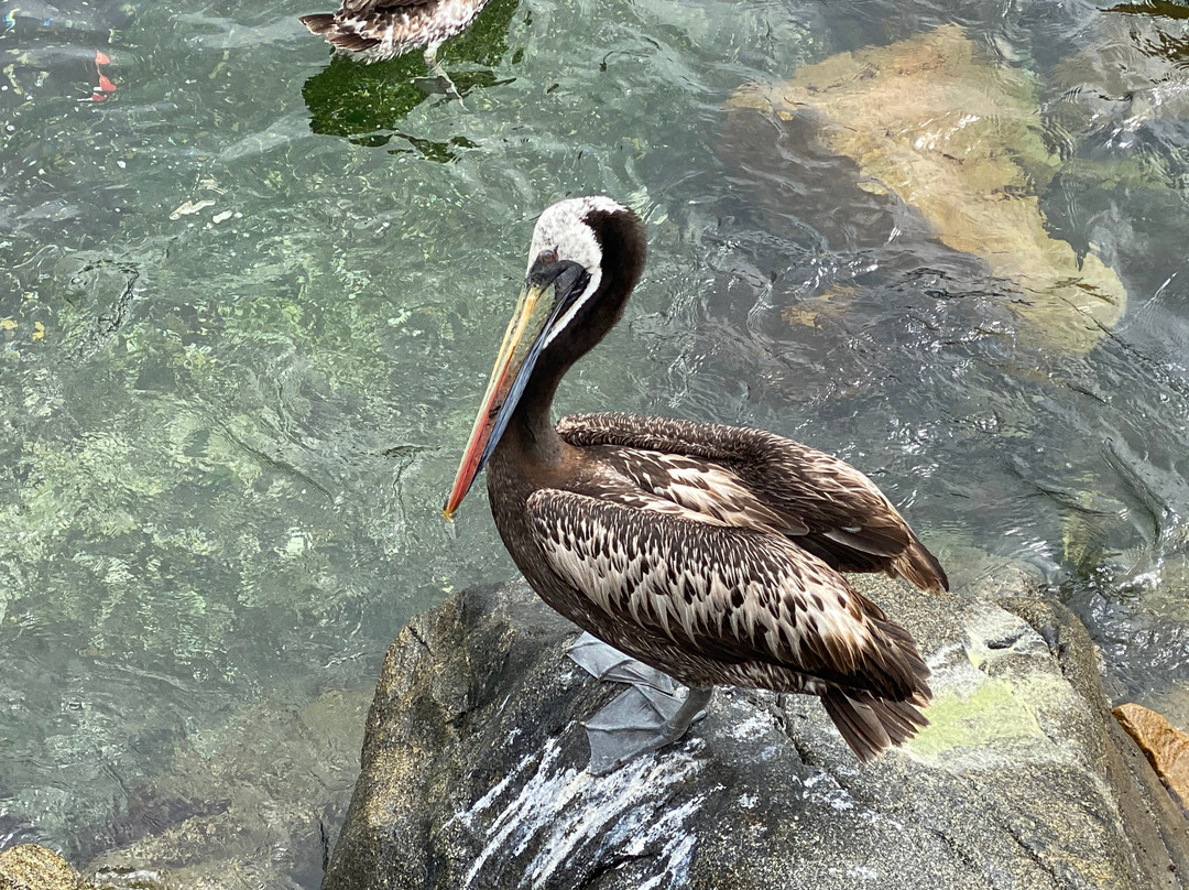 B&B Casa El Pangue主图