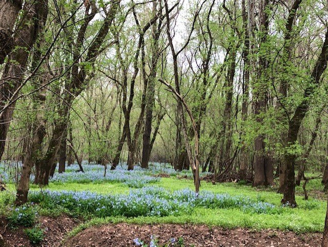 Merrimac Farm Wildlife Management Area景点图片