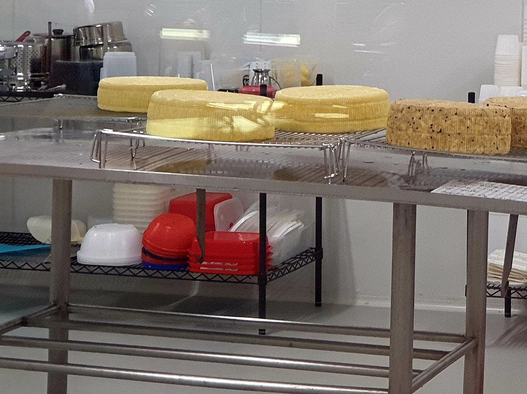 Tweed Valley Whey Farmhouse Cheese景点图片