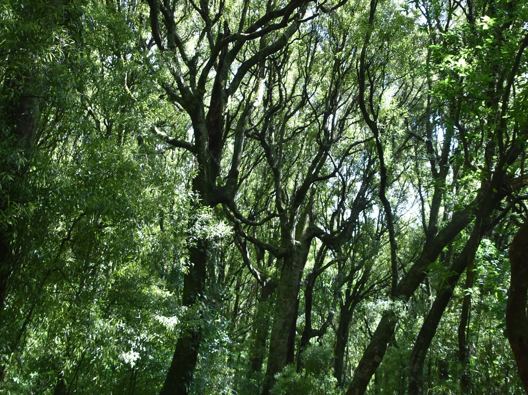 Manawatu Scenic Route景点图片