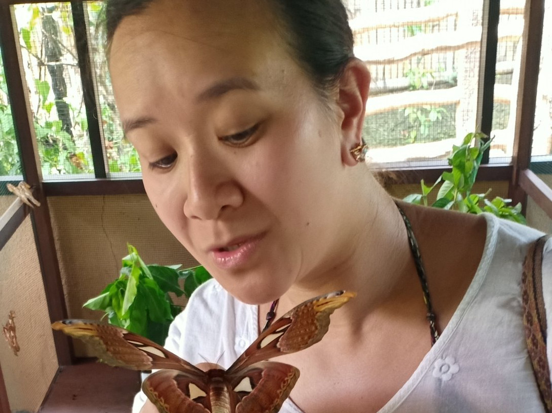 Kemenuh Butterfly Park-Kemenuh必去景点