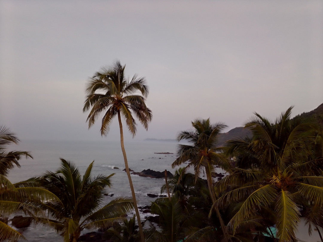 Arambol Mountain-Arambol必去景点