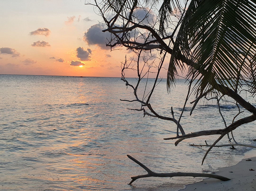 Holiday Cottage Maldives主图