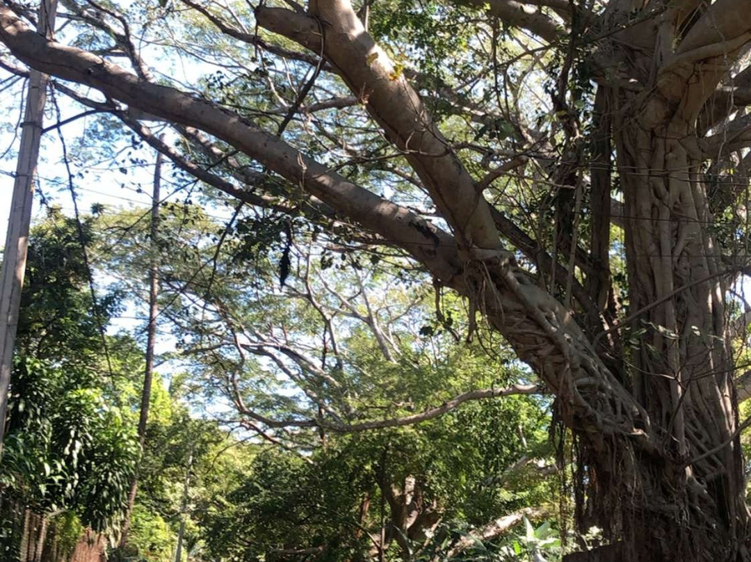 Hostal Casa Blanca主图