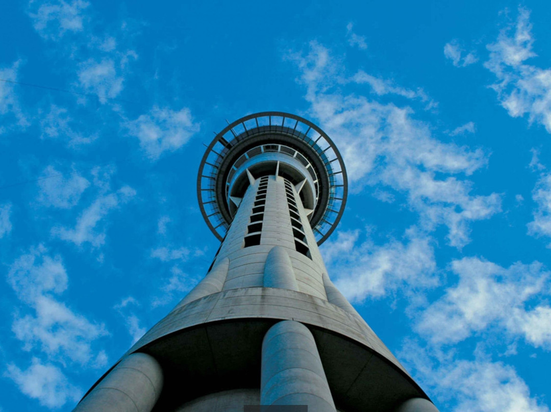 Private NZ Trips-奥克兰必去景点