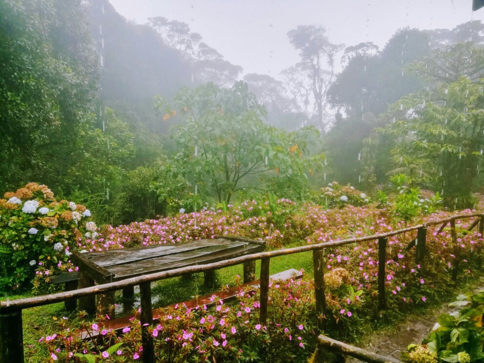 Refugio de Vida Silvestre Cerro Dantas景点图片