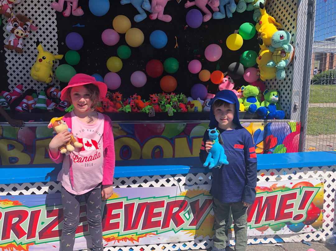 Taste of Asia Festival-万锦市必去景点