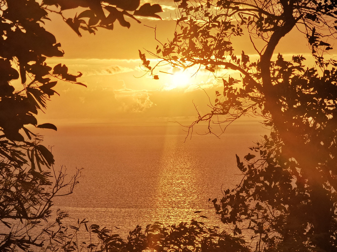 Apo Island View Deck景点图片