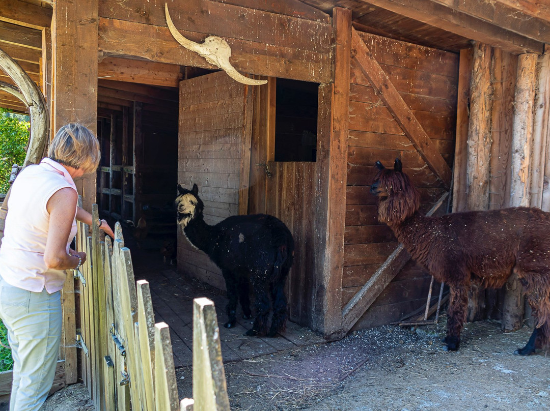 Alphotel Tyrol主图