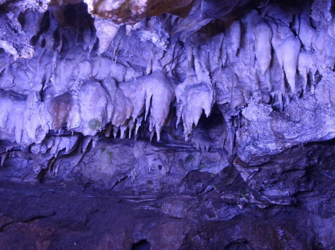 Great Limestone Cave of Hida and Ohashi Collection Museum-高山市必去景点