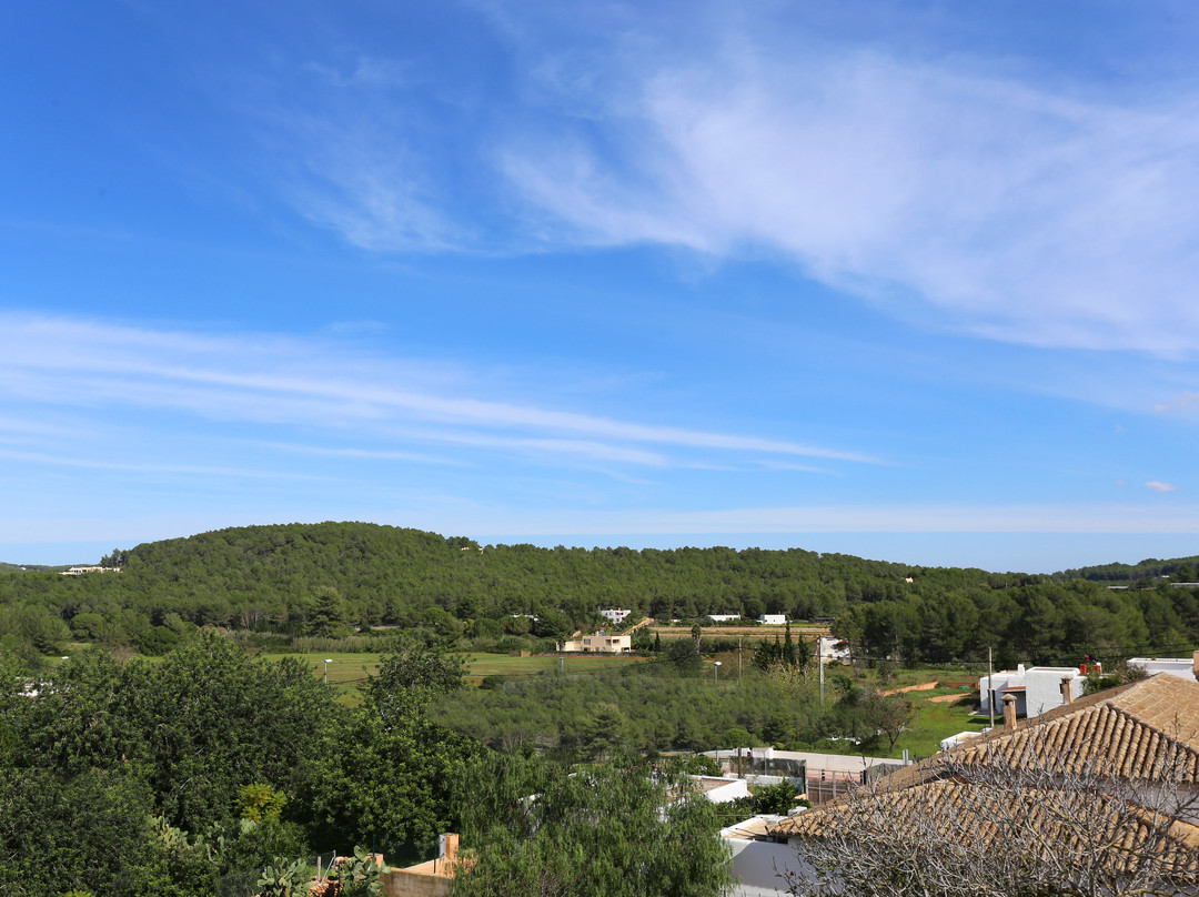 Gatzara Suites Santa Gertrudis主图
