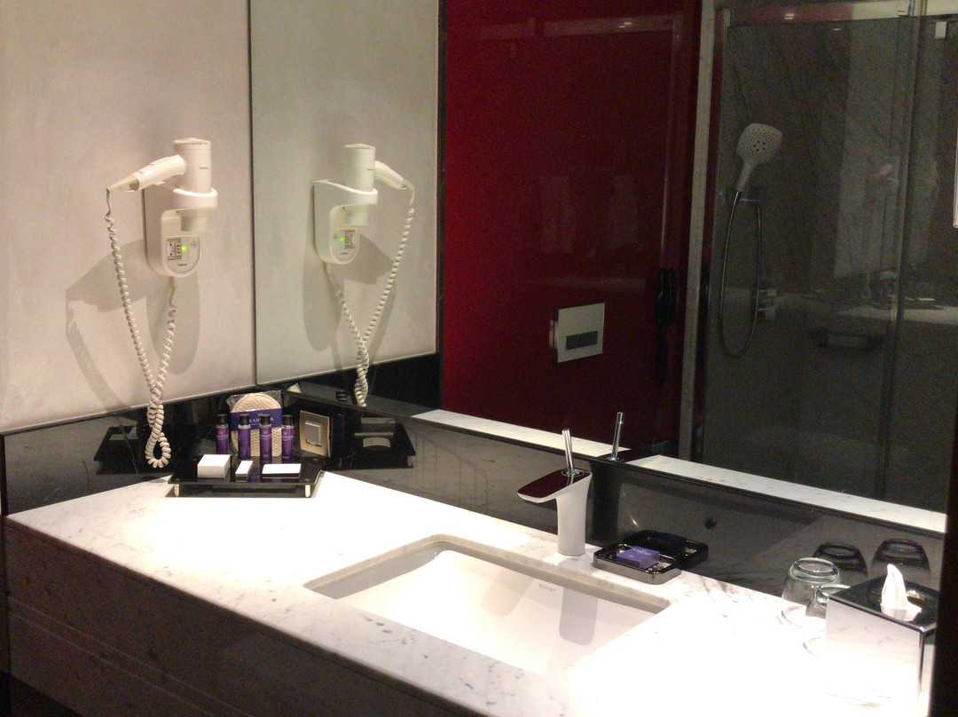 Warwick Ankara主图