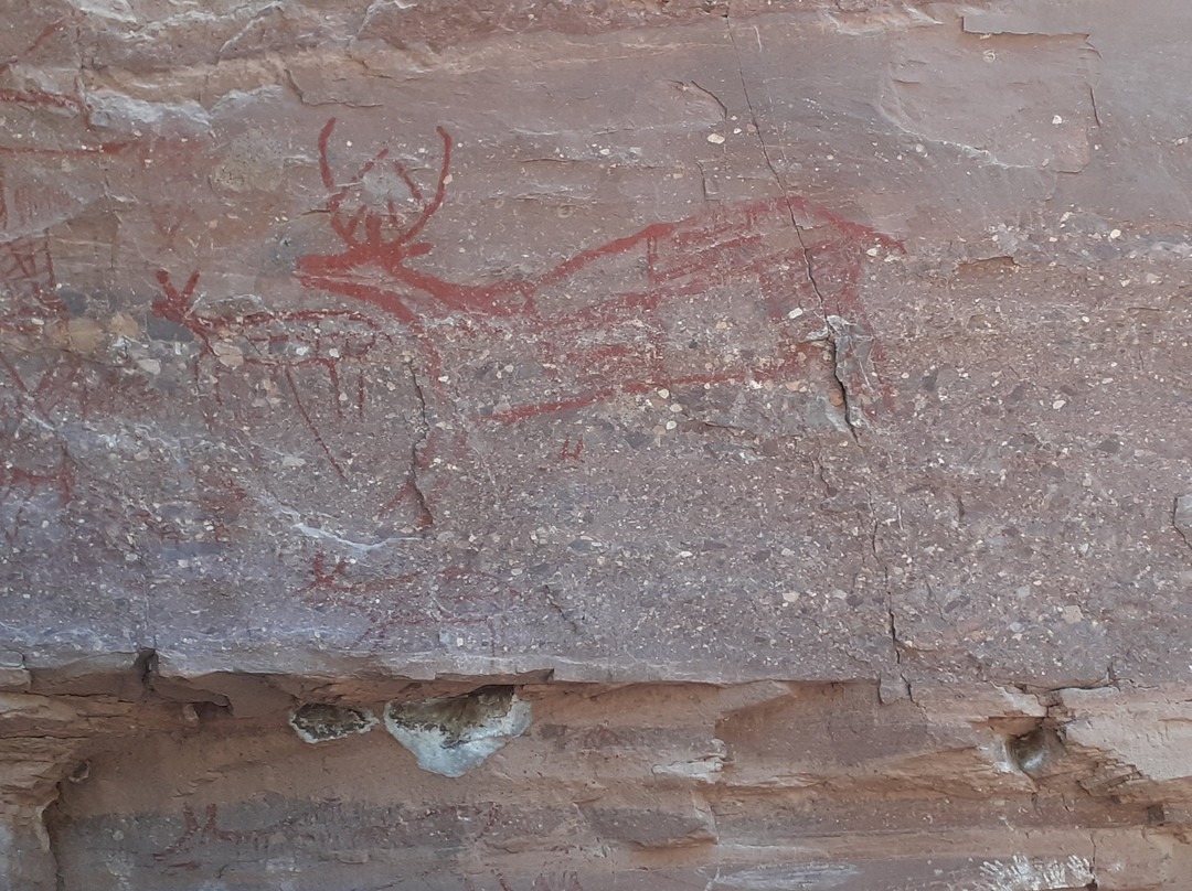 Mulege Tours - Day Tours-Mulege必去景点