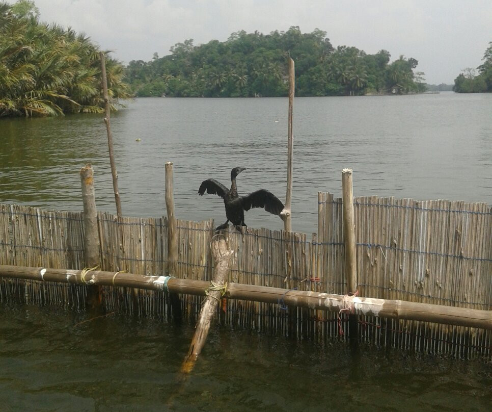 Captain Saman Tours-巴拉碧提雅必去景点