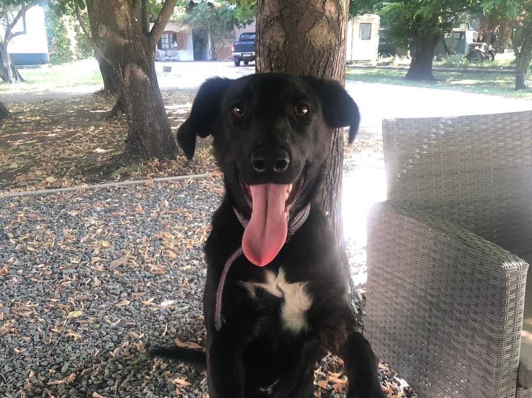 Bodega Familia Irurtia-Carmelo必去景点