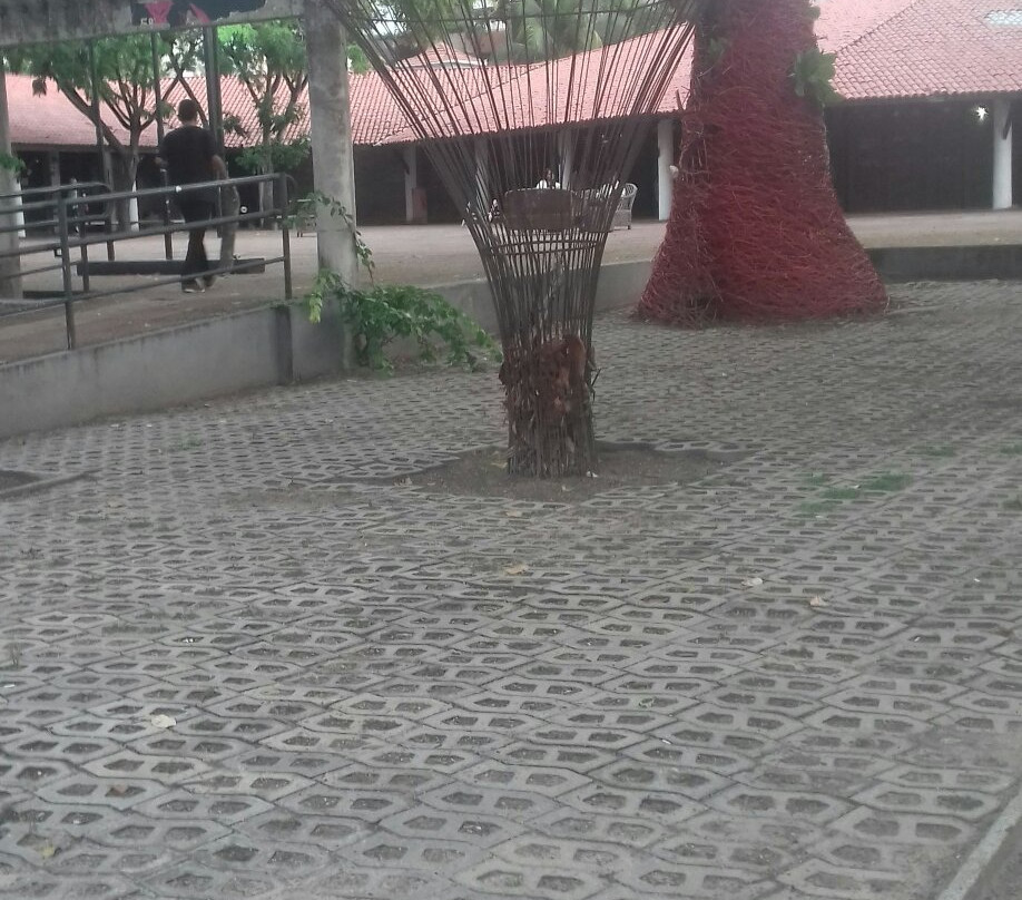 Praça Luíza Távora-福塔莱萨必去景点