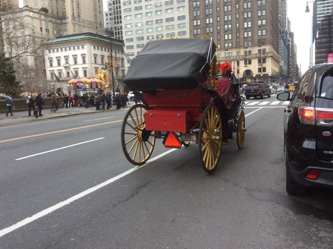 Central Park Carriage Rides - Official Booking  Site-纽约市必去景点