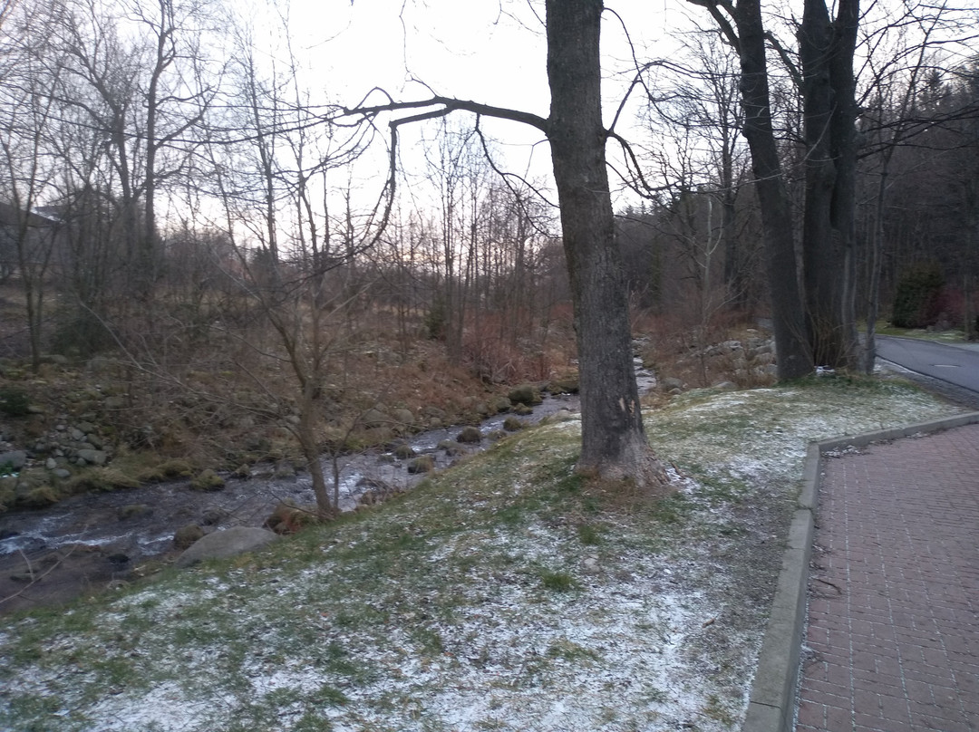 Gościniec Nad Potokiem主图