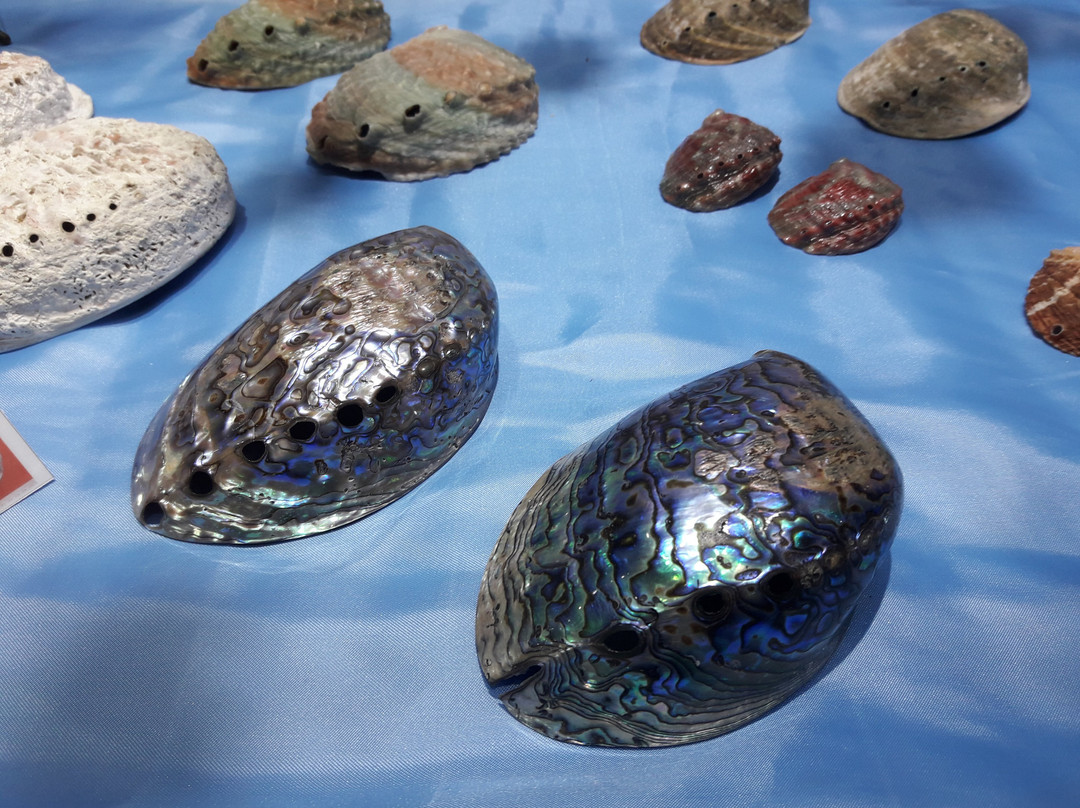 Isfahan Seashell Museum景点图片