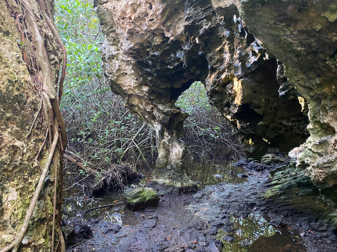 Varahicacos Ecological Reserve景点图片