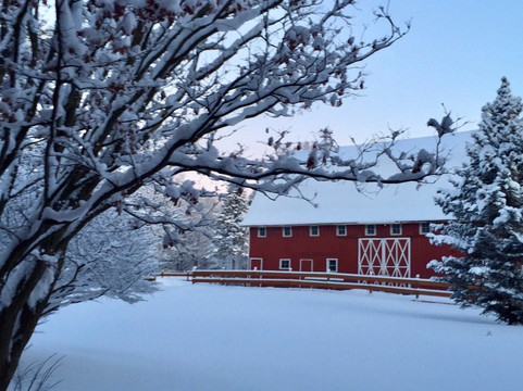 Arbor Hill Inn主图