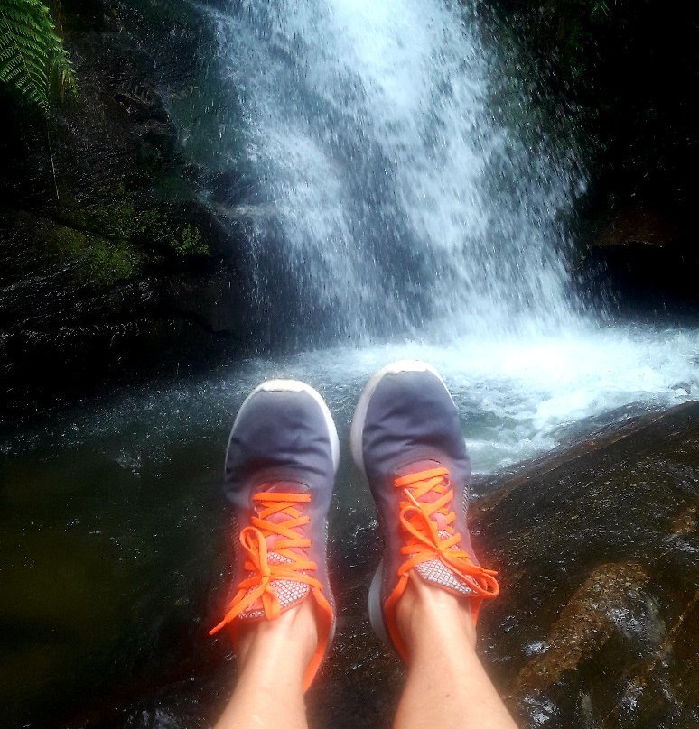 Cachoeira dos Macacos-Maromba必去景点