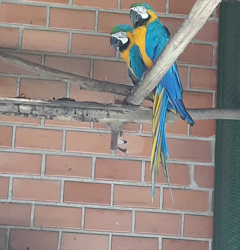 Parque Ecológico Ouro Fino景点图片