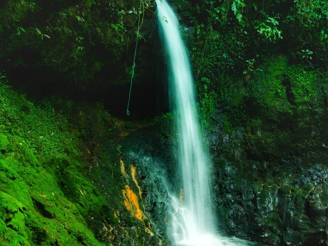 Bogor Regency旅游攻略图片