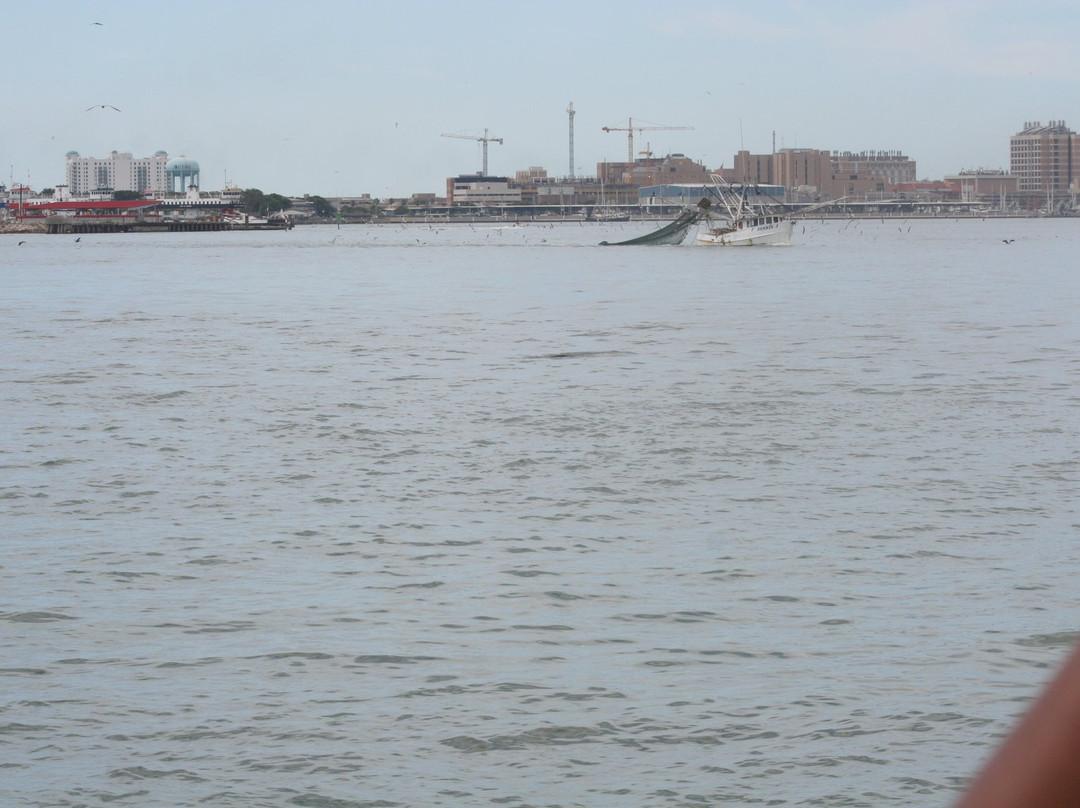 Galveston - Port Bolivar Ferry景点图片