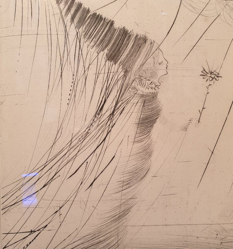 Salvador Dali Exhibition-布鲁日必去景点