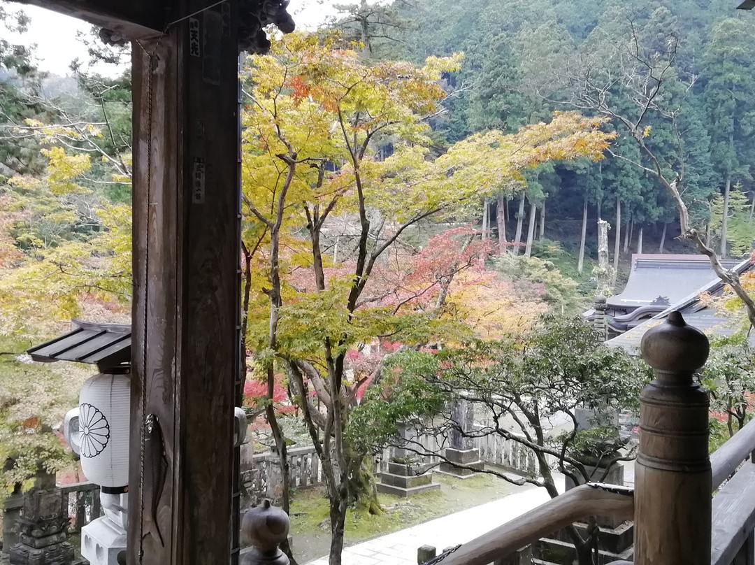 Kegon-ji Temple Hondo景点图片
