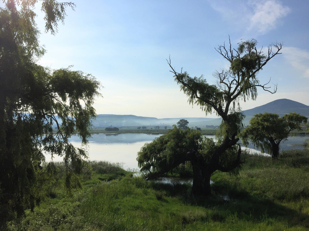 Wakkerstroom Wetland Reserve景点图片