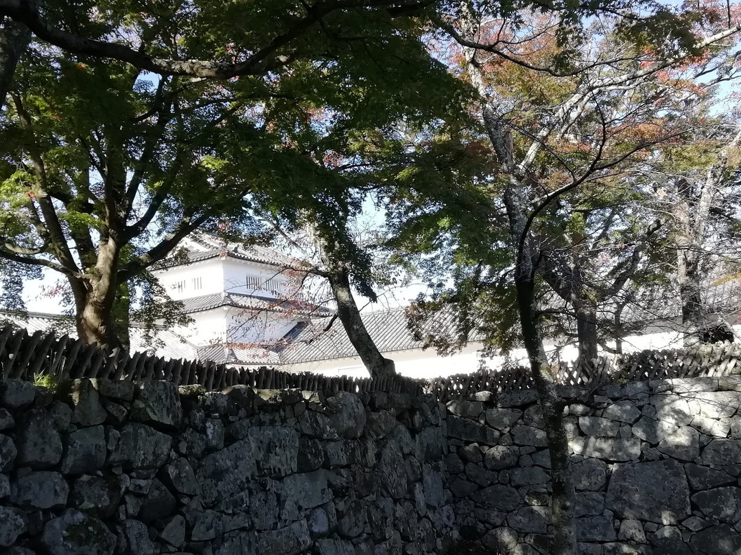 Hikone Castle Nishinomaruju Tower景点图片