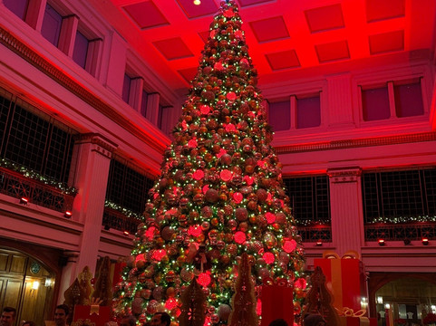 Chicago Detours-芝加哥必去景点