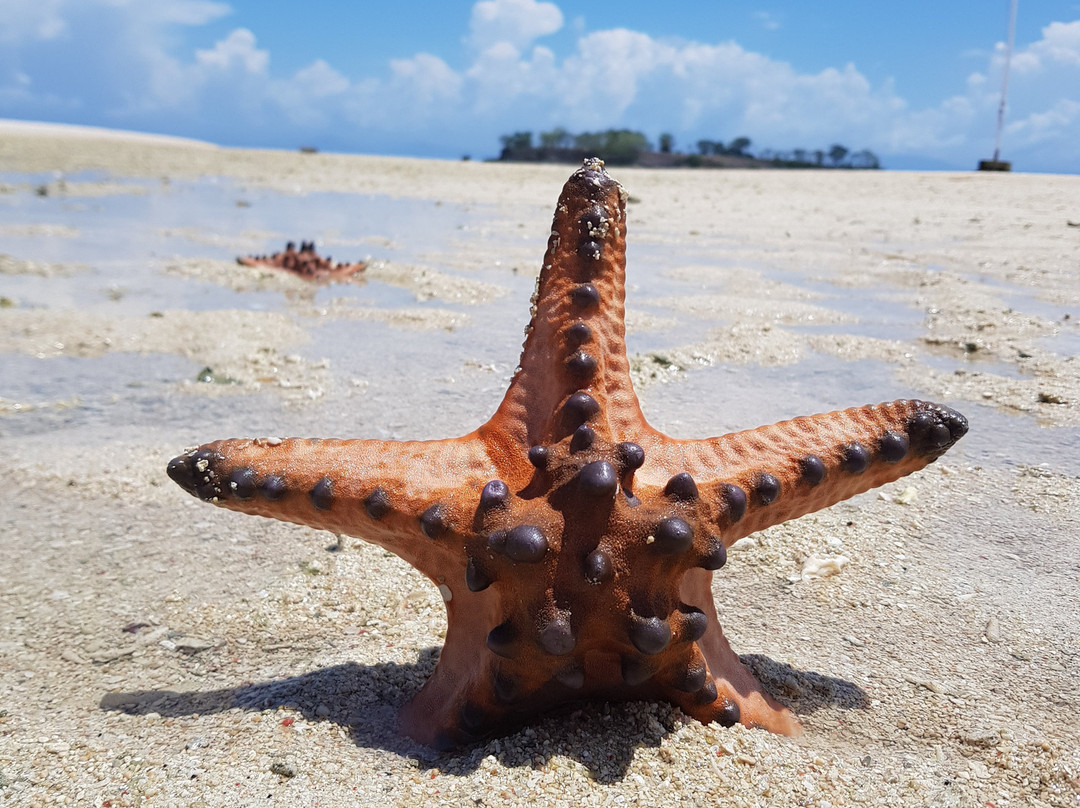 Rifky Tour and Travel-Kuta必去景点