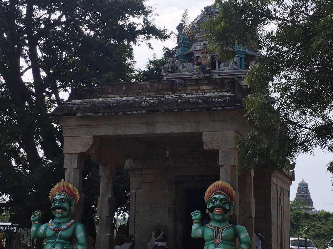 Arulmigu Abathsagayeswarar Temple景点图片
