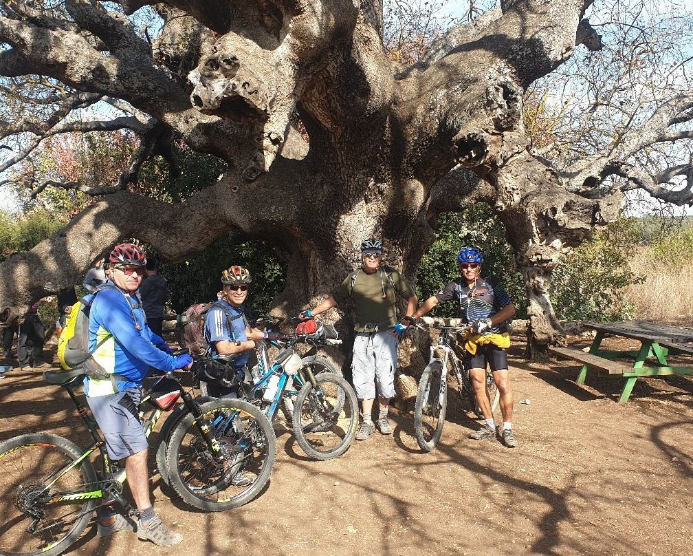 Go Bike Israel-特拉维夫必去景点